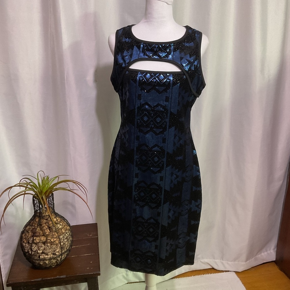 Roxberi Mini Dress